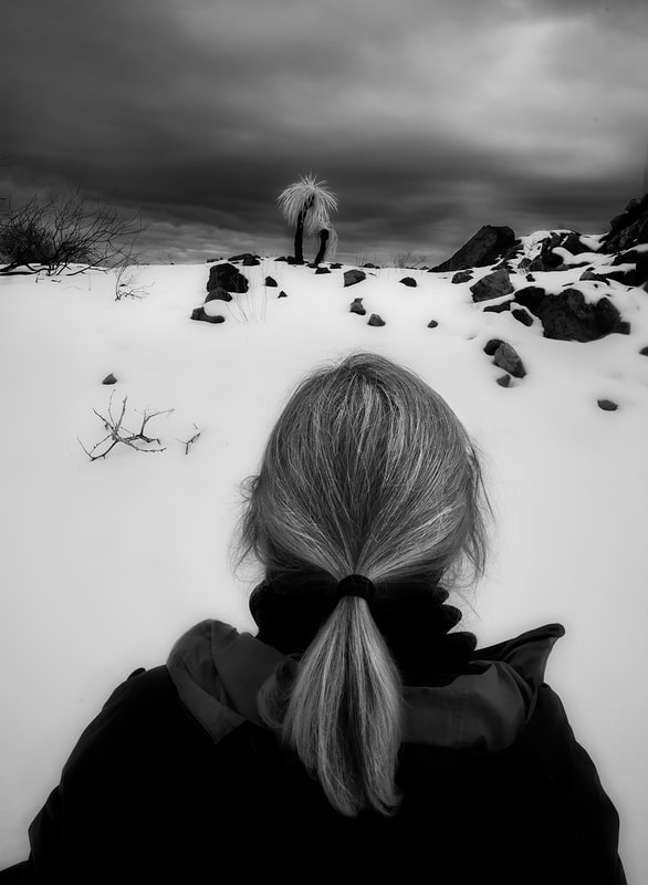 Black and White image of back of person's head looking at a yucca in snow